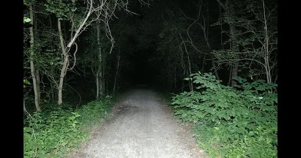 Missouri’s Most Haunted Road Isn’t For The Faint Of Heart post thumbnail image