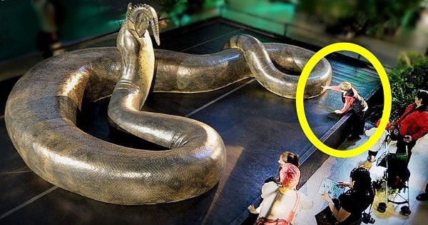 6 Terrifying Animals You’ll Be Glad Are Extinct After Watching This post thumbnail image