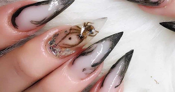 People Are Putting Dead Bugs On Their Nails, Yeah It’s Real Thing! post thumbnail image