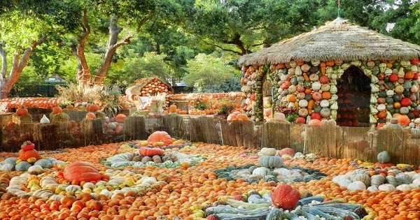 Inside Autumn at the Arboretum, The Event With Over 90,000 Pumpkins! post thumbnail image