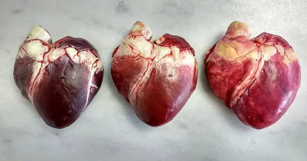 Give Your Loved One A Realistic Looking Heart Chocolate This Valentines Day post thumbnail image