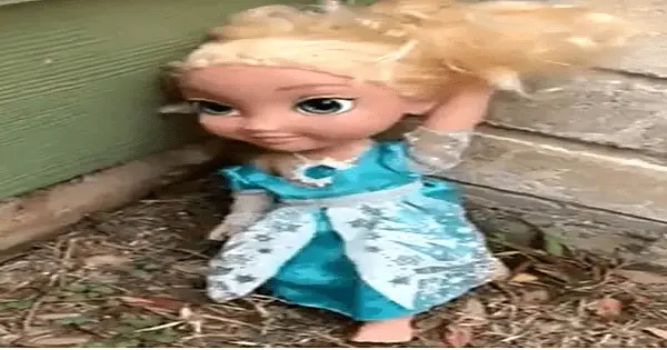 Family Throws Away Haunted Elsa Doll Twice And It Mysteriously Keeps Coming Back post thumbnail image
