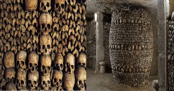 Take a Terrifying Virtual Tour Of The Paris Catacombs From Your Couch post thumbnail image