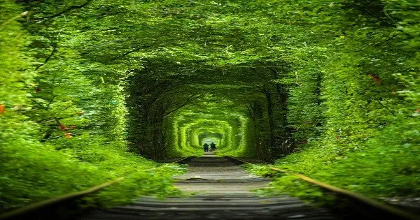An Amazing 4k Walk-through The Ukraine’s “Tunnel Of Love” post thumbnail image