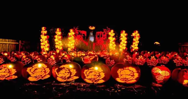 You Can Drive Through A Sea Of Spooky Lit-Up Pumpkins This Fall post thumbnail image