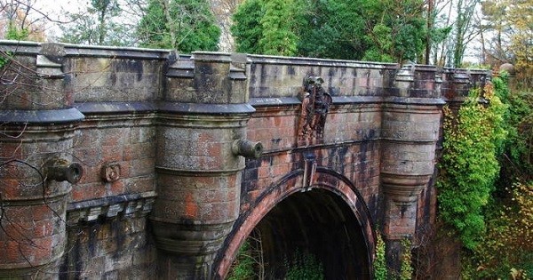 Over 50 Dogs Have Mysteriously Jumped To Their Death At This Scottish Bridge post thumbnail image