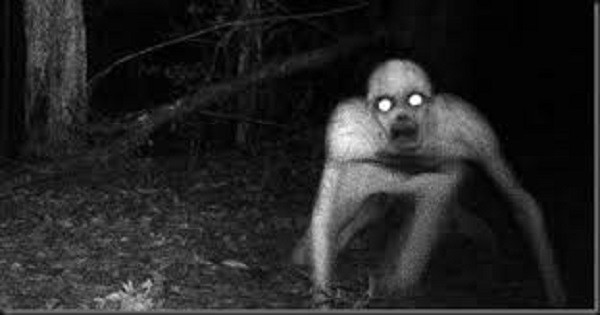 10 Unexplained Trail Cam Photos That Will Keep You Out Of The Woods post thumbnail image