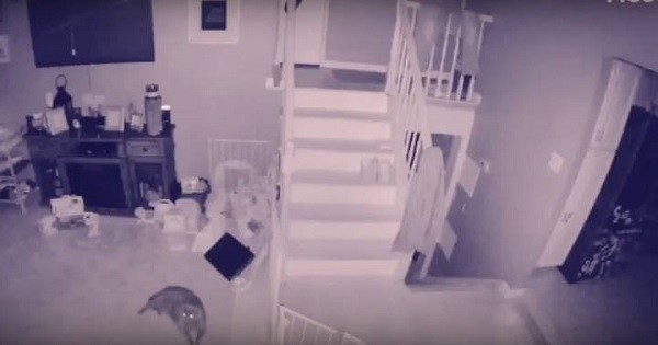 Strange Figure Spotted On Security Camera, Could It Be A Ghost? post thumbnail image