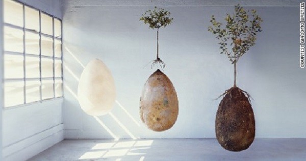 Say Goodbye To Coffins – Biodegradable Burial Pods post thumbnail image