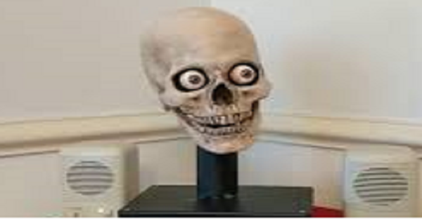 Man Turns His Alexa Into Skull And It’s Something Out Of A Horror Movie post thumbnail image